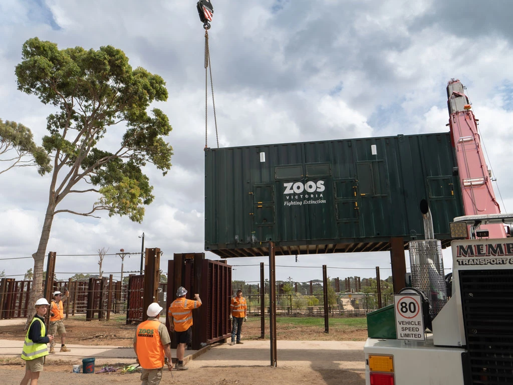 Construction workers guide a large green shipping container labeled "ZOOS Victoria Fighting Extinction" being lifted by a crane at a construction site with fencing and trees in the background.